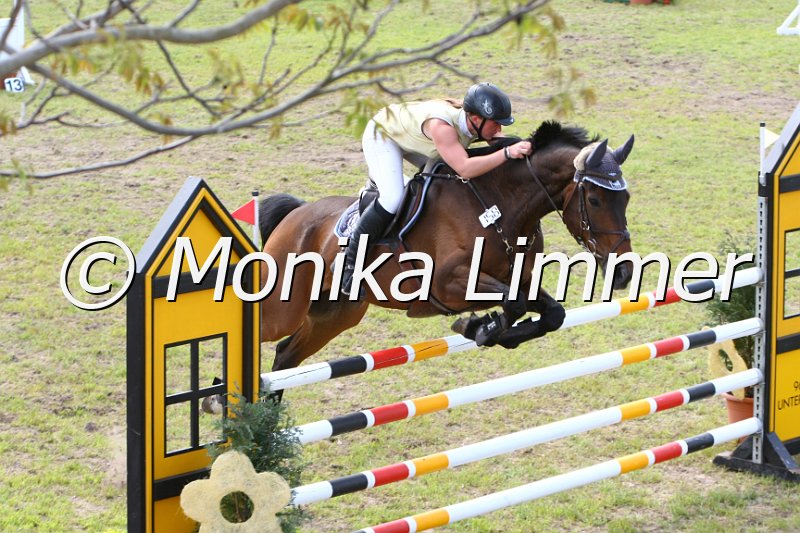 204M6537_Spring Mx.JPG